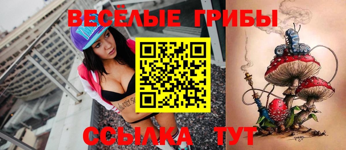 Псилоцибиновые грибы MAGIC MUSHROOMS Йошкар-Ола